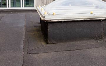 disadvantages of Pentre Piod flat roofs