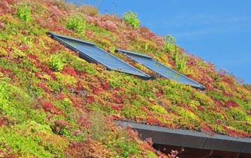 Pentre Piod living roof systems