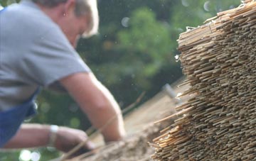 professional Pentre Piod thatchers