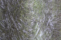 Pentre Piod fibreglass roof work